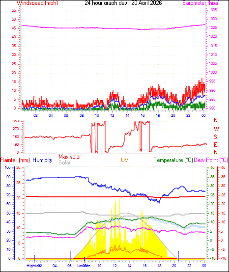 24 Hour Graph for Day 20