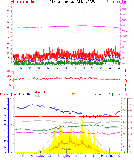 24 Hour Graph for Day 31