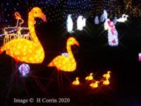 xmas2020_015_small.jpg