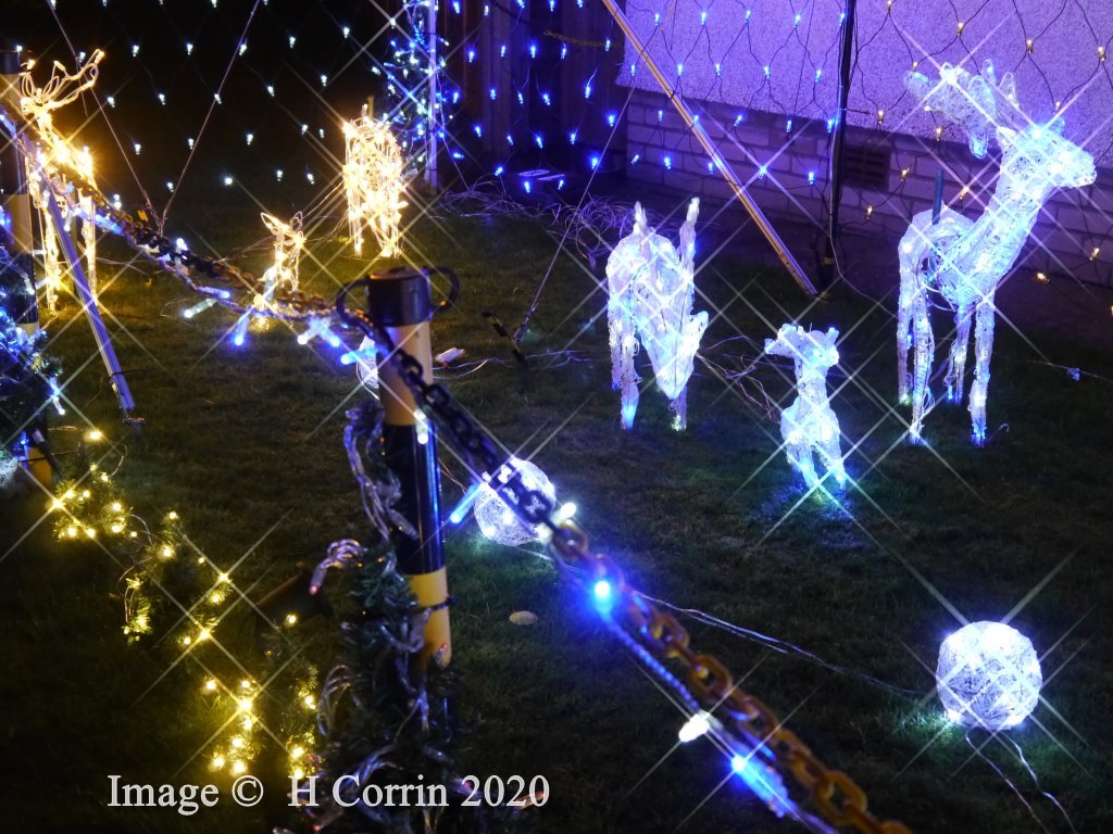 xmas2020_016.jpg